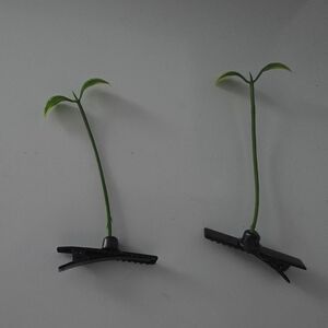 Green Leaf Hair Clips